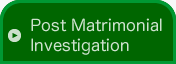 Post Matrimonial Investigation